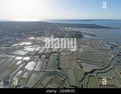 Francia, Nieulle-sur-Seudre, territorio acquisito sul mare, nel cuore di antiche paludi saline riabilitato in allevamenti di ostriche trasparenti (vista aerea) Foto Stock