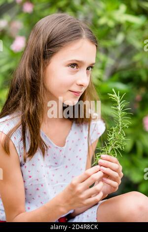 12-year-old ragazza che odora rosmarino. Foto Stock