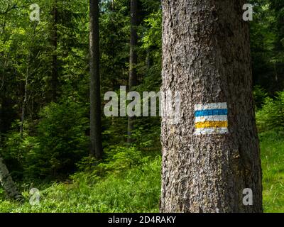 Sentiero escursionistico di montagna che segna su un tronco di albero a Karkonosze Parco nazionale Foto Stock
