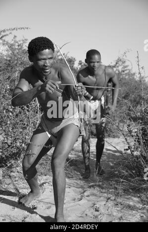 Caccia Naro-Bushmen vicino a Ghanzi nella Central Kalahari Game Reserve del Botswana Foto Stock