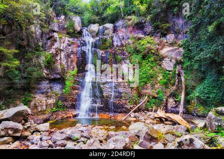 Le spettacolari cascate di Minnamurra nel parco nazionale della foresta pluviale che scende verso le rocce in giungle sempreverdi. Foto Stock