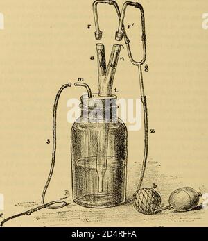 Un libro di testo le malattie dell'orecchio e organi adiacenti (1894) Foto Stock