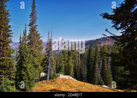 Il lago Mary Martha e il sentiero escursionistico Catherine si affacciano sul Sunset Peak sul Great Western Trail di Brighton, colori autunnali. Montagne Rocciose, Wasatch Foto Stock