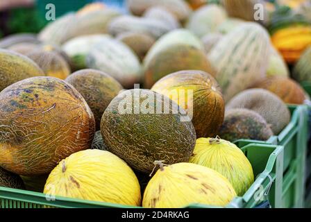 meloni di diversi tipi venduti in un negozio di alimentari Foto Stock