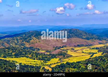 Vista su una valle con risaie e pini. Paesaggio autunno colorato, ottobre, dopo le piogge monsoniche, Shillong, Meghalaya, India. Foto Stock