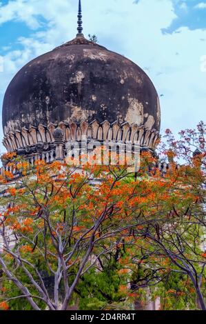 Un albero di May-flower/Gulmohar (regione di Delonix) con fiori di rosso arancio accanto al mausoleo di Hayat Bakshi Begum nel complesso della Tomba di Qutb Shah. Foto Stock