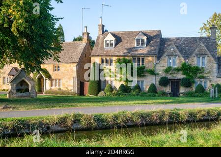 Abbattere la macellazione all'inizio dell'autunno. Cotswolds, Gloucestershire, Inghilterra Foto Stock