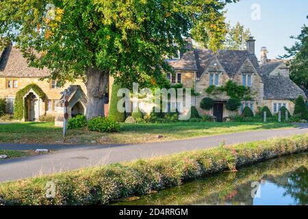 Abbattere la macellazione all'inizio dell'autunno. Cotswolds, Gloucestershire, Inghilterra Foto Stock