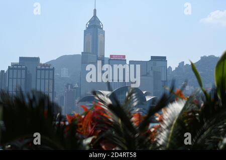 Skyline dell'isola di Hong Kong con un cespuglio in primo piano visto da Avenue of Stars, Hong Kong - Cina Foto Stock