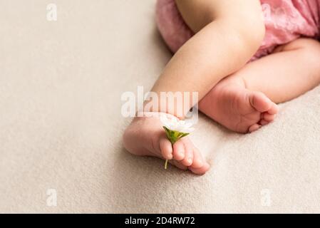 piedi del neonato con fiore, dita sul piede, cura materna, amore e abbracci  di famiglia, tenerezza Foto stock - Alamy