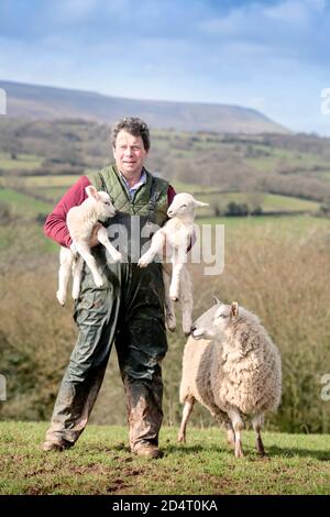 Un allevatore di pecore Herefordshire che raccoglie agnelli vicino Michaelchurch Escley con Lo sfondo delle Black Mountains gallesi Foto Stock