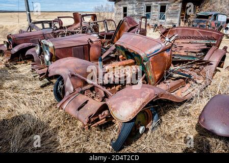 I cassoni delle auto d'epoca abbandonate e dei camion sul Praterie a Saskatchewan Foto Stock