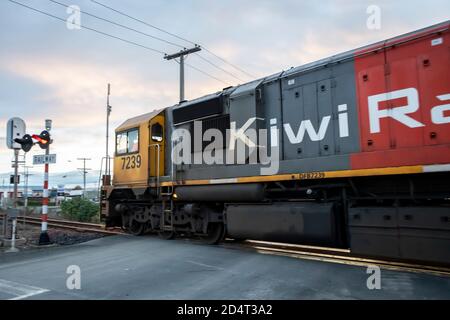 DFB Locomotiva elettrica diesel che trasporta un treno merci, Oamaru, Otago, Isola del Sud, Nuova Zelanda Foto Stock