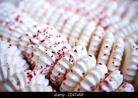 Sfondo di meringhe bianche con pasta frolla rossa crumb spruzzare Foto Stock