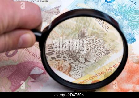 Denaro brasiliano in una lente d'ingrandimento uno sfondo di affari Foto Stock