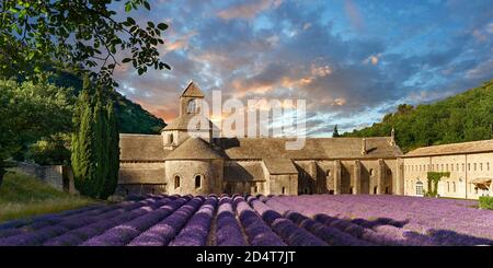 L'abbazia cistercense romanica del 12 ° secolo di Notre Dame di Senanque ( 1148 ), tra i campi di lavanda fioriti della Provenza vicino a Gordes, fra Foto Stock