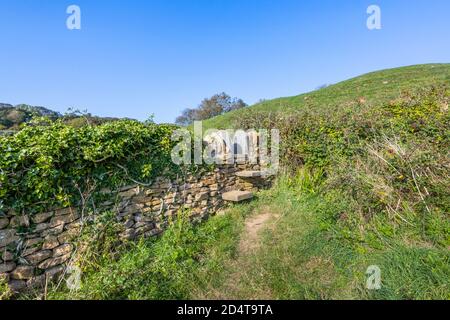 Il tipico sentiero pubblico si snodano in un muro di pietra a secco sul South-West Coast Path sulla Jurassic Coast vicino a Abbotsbury, Dorset, Inghilterra sudoccidentale Foto Stock