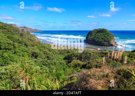 La costa di Bethells Beach, un'area panoramica nella regione occidentale di Auckland, in Nuova Zelanda, vista dal passaggio pedonale te Henga Foto Stock