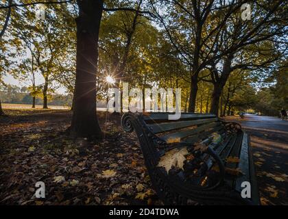 Alba autunnale a Regents Park a Londra. Foto Stock