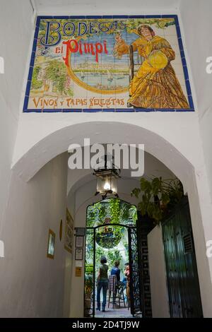 El Pimpi. Ingresso al bar tradizionale spagnolo, Bodegas, Malaga, Costa del Sol, Andalusia, Spagna. Foto Stock