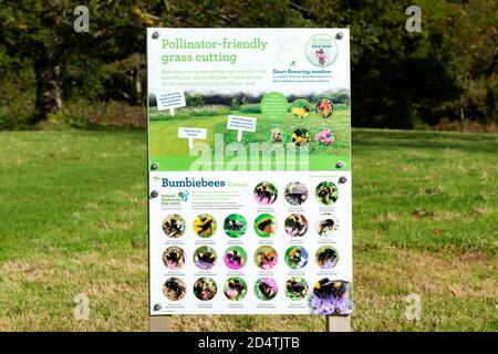 Tutti i pollinator irlandesi pianifica un cartello educativo per l'importanza Dei Bumblebee per la fauna selvatica e l'ambiente sano Killarney National parcheggio Foto Stock