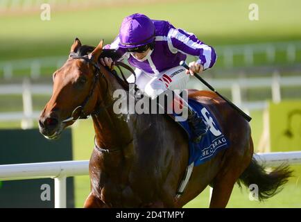 Colin Keane a bordo di Khartoum sulla strada per vincere il Curragh dove i campioni sono fatti Maiden durante il Paddy Power Irish Cesarewitch Day all'ippodromo di Curragh. Data foto: Domenica 11 ottobre 2020. Vedi la storia della PA Racing Curragh. Il credito fotografico dovrebbe essere: Filo PA Foto Stock