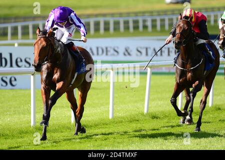 Colin Keane a bordo di Khartoum (a sinistra) sulla loro strada per vincere il Curragh dove i campioni sono fatti Maiden durante il Paddy Power Irish Cesarewitch Day all'ippodromo di Curragh. Data immagine: Domenica 11 ottobre 2020. Guarda la storia della PA CHE CORRE Curragh. Il credito fotografico dovrebbe essere: Cavo PA Foto Stock