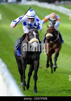 Billy Lee a bordo di Lustown Baba (a sinistra) sulla loro strada per vincere il Sycamore Lodge Equine Hospital handicap durante il Paddy Power Irish Cesarewitch Day all'ippodromo di Curragh. Data immagine: Domenica 11 ottobre 2020. Guarda la storia della PA CHE CORRE Curragh. Il credito fotografico dovrebbe essere: Cavo PA Foto Stock