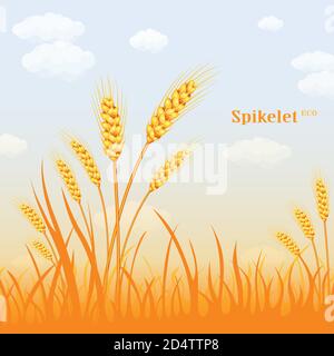 Grano vettoriale in un campo di fondo. Illustrazione vettoriale colorata Illustrazione Vettoriale