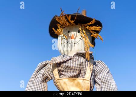 Bogeyman sorridente in un giardino o in un campo contro un cielo blu. Giorno estivo luminoso e soleggiato. Profondità di campo poco profonda. Foto Stock