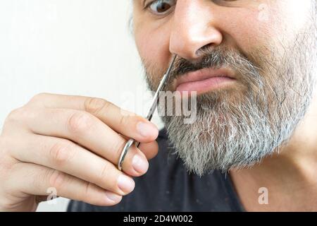 Un uomo bearded taglia i suoi capelli del naso con un paio di forbici. Il suo volto mostrò una chiara determinazione a sopportare questa procedura. Vista ravvicinata. Foto Stock