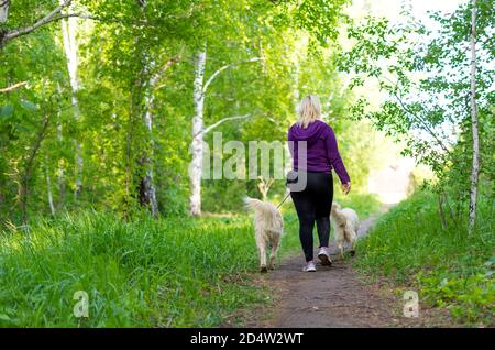 Donna caucasica con i suoi cani che camminano nella foresta. Vista dal retro, senza una faccia. Foto Stock