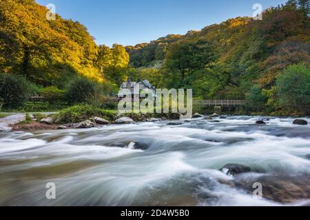 Watersfeet, Lynmouth, Devon, Regno Unito. 11 Ottobre 2020. Gli alberi sono nei loro colori autunnali al Watermeet sul fiume Lyn vicino a Lynmouth nel Parco Nazionale di Exmoor in Devon in un caldo pomeriggio di sole. Regno Unito Meteo. Picture Credit: Graham Hunt/Alamy Live News Foto Stock