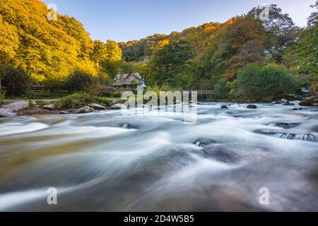 Watersfeet, Lynmouth, Devon, Regno Unito. 11 Ottobre 2020. Gli alberi sono nei loro colori autunnali al Watermeet sul fiume Lyn vicino a Lynmouth nel Parco Nazionale di Exmoor in Devon in un caldo pomeriggio di sole. Regno Unito Meteo. Picture Credit: Graham Hunt/Alamy Live News Foto Stock