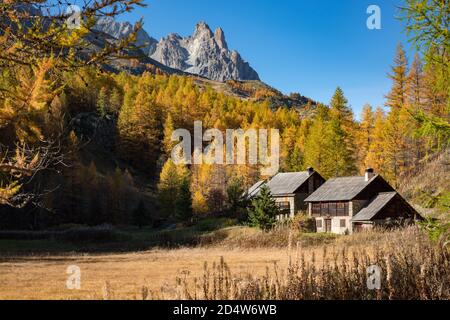 La Vallée de la Clarée con larici in pieno autunno colori e il massiccio del Cerces (Main de Crepin). Nevache, Hautes Alpes (05), Francia Foto Stock