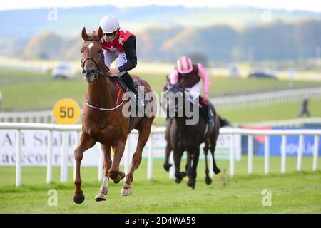 Capo Gentleman guidato da Ronan Whelan (a sinistra) vince il Paddy Power Irish Cesarewitch durante il Paddy Power Irish Cesarwitch Day all'ippodromo di Curragh. Data immagine: Domenica 11 ottobre 2020. Guarda la storia della PA CHE CORRE Curragh. Il credito fotografico dovrebbe essere: Cavo PA Foto Stock