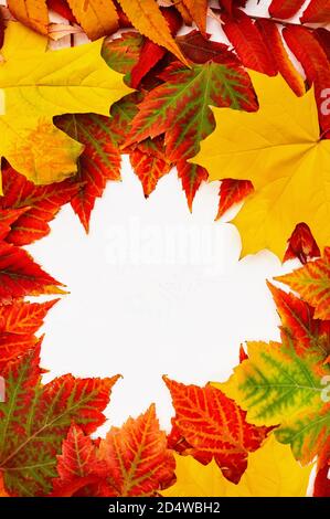 Autunno arancio, giallo, rosso foglia d'acero con divertenti occhi d'oca e labbra isolate su sfondo bianco natura, ciao autunno, settembre, ottobre Foto Stock