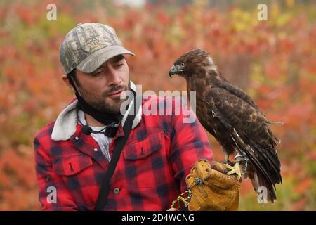 Giovane coppia che insegna lo sport della falconeria Foto Stock