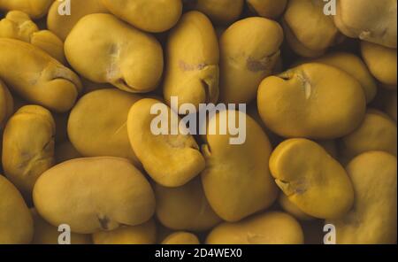 Primo piano macro di fagioli larghi giallo grezzo, fuoco selettivo Foto Stock