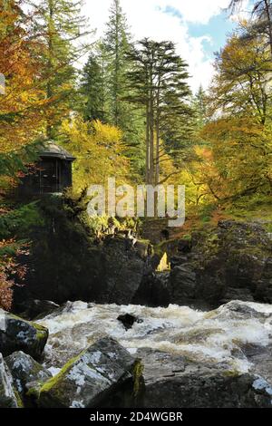 Dunkeld, Scozia, Regno Unito. 11 Ottobre 2020. La nuvola rotta ha permesso a brevi incantesimi di sole di illuminare i colori dell'albero autunnale all'Hermitage, Black Linn Falls, vicino a Dunkeld. Foto Stock