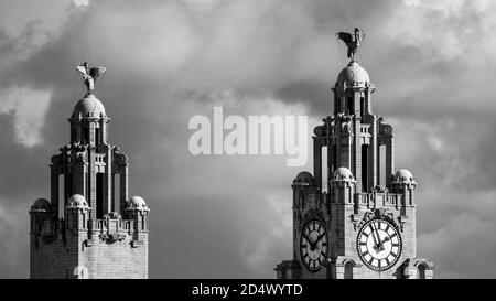 Gli uccelli del fegato sulla cima del Royal Liver Building che tiene sotto controllo Liverpool e il fiume Mersey visto dal Wirral. Foto Stock