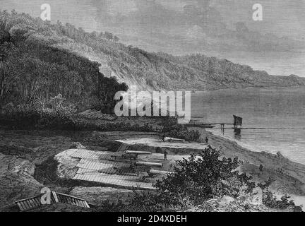 Forest canon batteria a Moellenort vicino alla baia di Kiel, dicembre, 1870, illustrato è stato storia, tedesco - guerra francese nel 1870-1871 Foto Stock