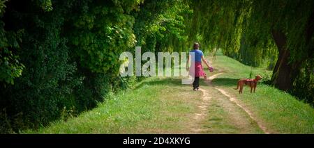 Ampia vista di una giovane donna che cammina un cane lungo un percorso erboso rialzato verso il punto di fuga sotto il salice piangente e l'acero. Foto Stock