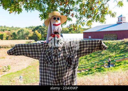 Cuscurbit Farm, Acton, Massachusetts. Concorso Scarecrow 2020. Foto Stock