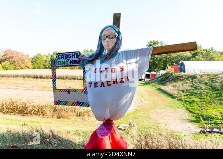 Cuscurbit Farm, Acton, Massachusetts. Concorso Scarecrow 2020. Foto Stock