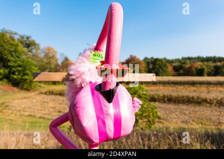 Cuscurbit Farm, Acton, Massachusetts. Concorso Scarecrow 2020. Foto Stock