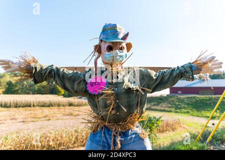 Cuscurbit Farm, Acton, Massachusetts. Concorso Scarecrow 2020. Foto Stock