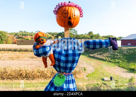 Cuscurbit Farm, Acton, Massachusetts. Concorso Scarecrow 2020. Foto Stock