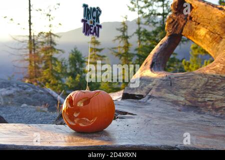 Halloween Jack-o'-lanterna (zucca scolpita) con trick o segno di trucco, all'aperto, British Columbia, Canada Foto Stock