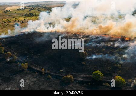 Vista aerea del fuoco della foresta, fuoco selvatico dopo la stagione estiva asciutta, natura ardente in Russia. Foto Stock